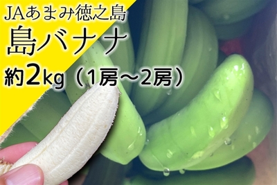 bwff4kr3m8KuTGQGkrLG.jpg?w=940&h=940