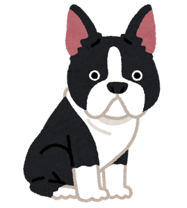 bwj2UN8cmtEWVNjrJdjT.png?w=940&h=940