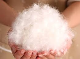 bx4lCQeOUySDHFB2lDfL.jpg?w=940&h=940