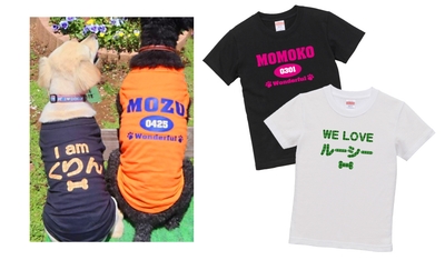 bxN8WmiNqNxroU0bc4yG.jpg?w=940&h=940