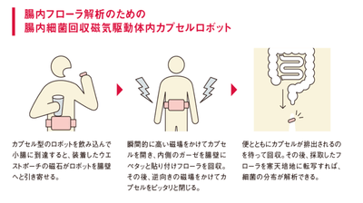 byG6AQF0AbFzHZdn1eKT.png?w=940&h=940