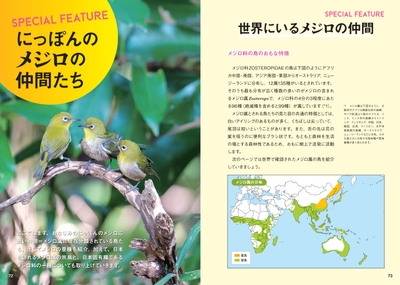 にっぽんのメジロの仲間たち