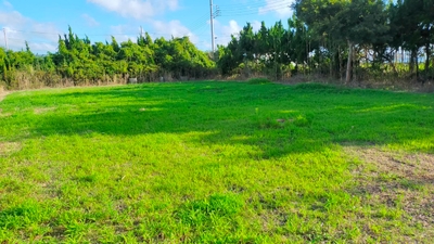 bzEK9OTM8er6rW80sr5I.jpg?w=940&h=940