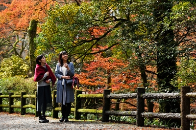 c0yTyqh2RGNz6q4cwckR.jpg?w=940&h=940