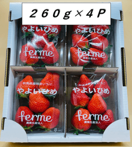 c100YRHpLWxZfPrzFOtc.png?w=940&h=940