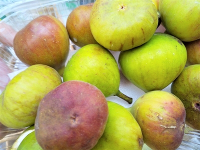 c297iP99Fgt0EzRCfoqu.jpg?w=940&h=940