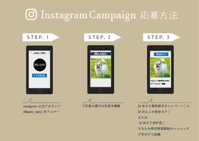 キャンペーン応募方法