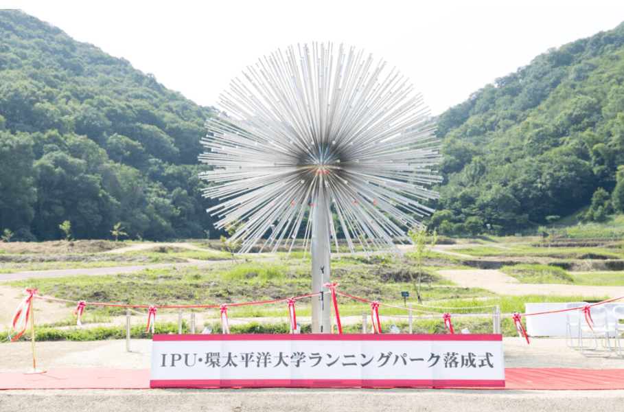 大学が見える公園 Favorite Parks nearby Bellevue｜picton_wakaba