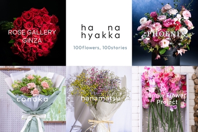 c3ycP3KWUqsVUFiiRCtO.jpg?w=940&h=940