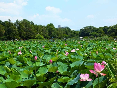 c42n3tPiA59ngXkk7DMu.jpg?w=940&h=940