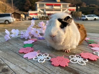 c4VYYZmdDLfUoogpQYpr.jpg?w=940&h=940