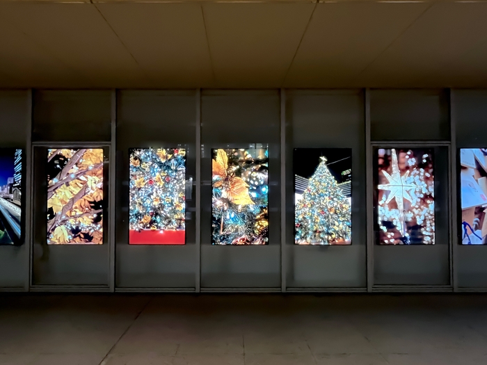 展示例:御茶ノ水ソラシティのクリスマス(夜)