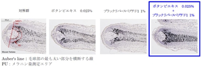 c7PN2iuTaIQwlgACMB5B.jpg?w=940&h=940