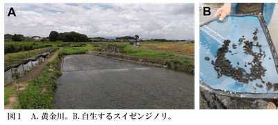 c8tl1VFJU3M5uYJeQLtB.png?w=940&h=940