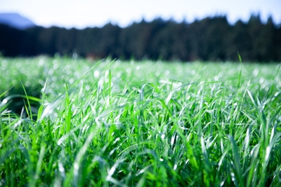 c90nFXJq7Y8kMgqc88Pq.jpg?w=940&h=940