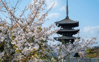 c9AbzU2DcTwAZVBXCd3b.png?w=940&h=940