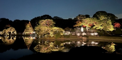 「庭紅葉の六義園」ライトアップ（昨年の様子）