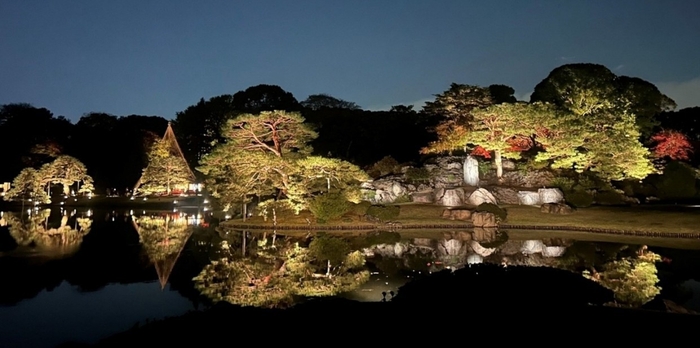 「庭紅葉の六義園」ライトアップ(昨年の様子)
