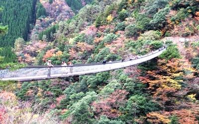 cEJARTzEH9mcNVP7bd1R.jpg?w=940&h=940