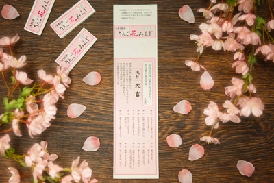 cF7s8TnkqKxgNxwwnv0c.jpg?w=940&h=940