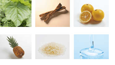 桐葉エキス/桑白皮エキス/ユズセラミド/パイナップルセラミド/コメ発酵液/スーパーヒアルロン酸