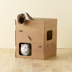 cHj5wvZBFU7vuwTpprKq.jpg?w=940&h=940