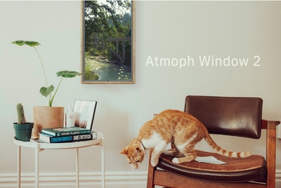 cIMmdCvox9ViNYsSKCdc.jpg?w=940&h=940