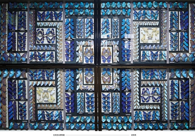 cJFHKG2pJRseZ6WUxwxe.jpg?w=940&h=940