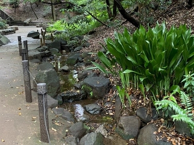 cJNxRPu0AXUrsFKga1iG.jpg?w=940&h=940