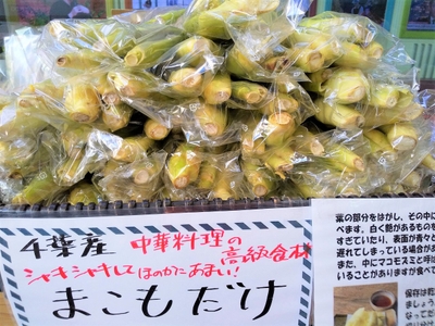 cK5uqoRimLEOUcxRHLpu.jpg?w=940&h=940