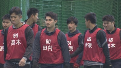 cKU820ctRJSzjZmeCR9q.jpg?w=940&h=940