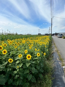 cKZYvKN75bHCpi9cbkGy.jpg?w=940&h=940