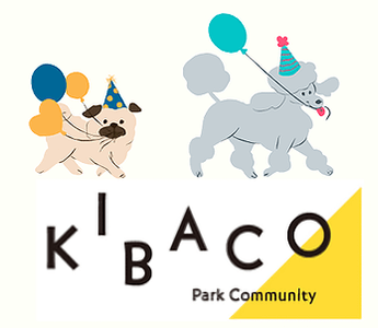 cM8dC9SbWFQ0b6c6a4RP.png?w=940&h=940