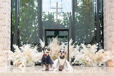 cM9vy4PEEnGy7vCuy2J7.jpg?w=940&h=940