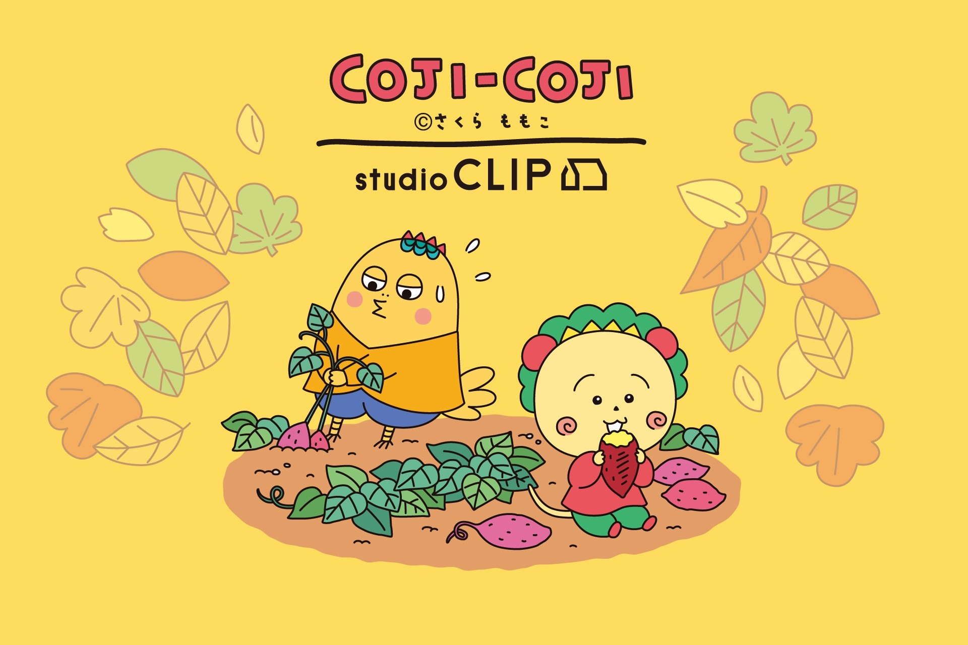 「コジコジ×studio CLIP」人気コラボ第３弾！