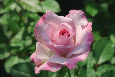 cMeKXxsvzhVkF0q2xfk3.jpg?w=940&h=940