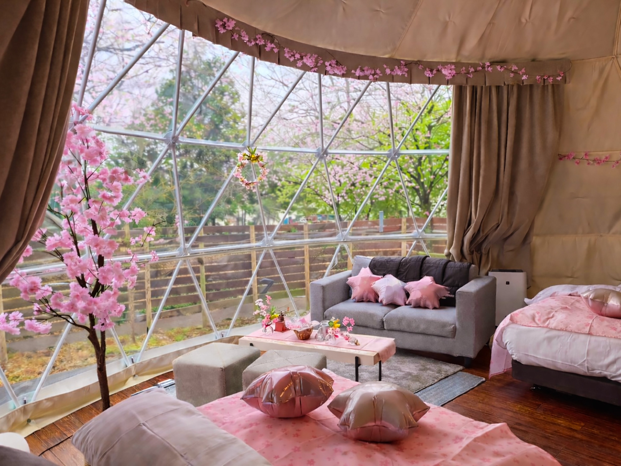 1日1棟限定＞ 花粉・寒さゼロの 「インドアお花見」×「夜桜BBQ」でW