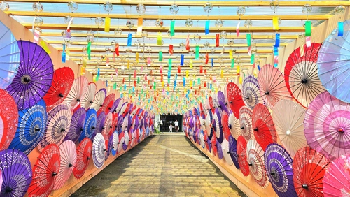 「6,000個の風鈴」と「400本の和傘」が共演する納涼体験、色彩鮮やかでSNS映えする空間、昨年より一部拡張、平和への祈りを込めた催し