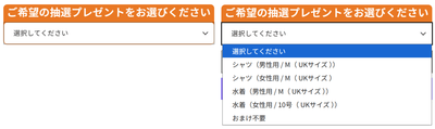 「カートに追加する」ボタンの上部にある選択メニュー