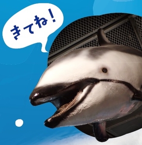 cQRGpns53QECyu3Wis5c.jpg?w=940&h=940