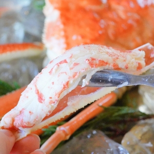 cR64jNcUUYXE9G0oLyo8.jpg?w=940&h=940