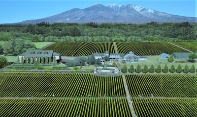 cS2urCLp6DKQG80zX0lB.jpg?w=940&h=940