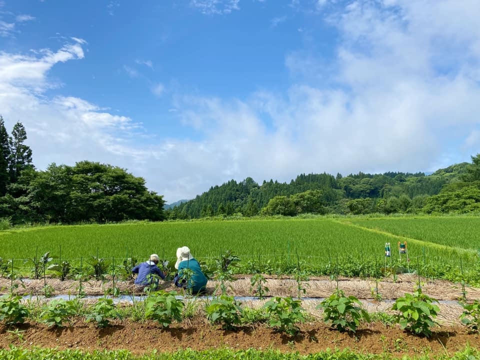 ぼたんこしょう園地(中野市永江地区)