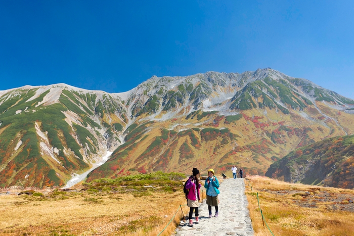美しい紅葉の中散策ができる室堂エリア