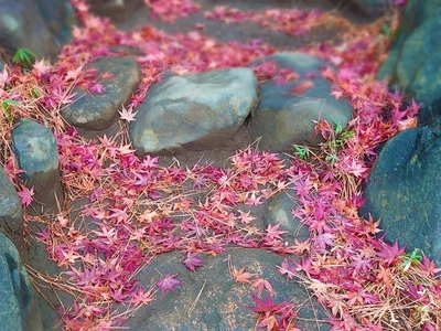 cSNUWtP4bwuy5Fm3ense.jpeg?w=940&h=940