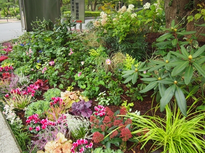 cSOIDSE1A07LpA9tR3w7.jpg?w=940&h=940