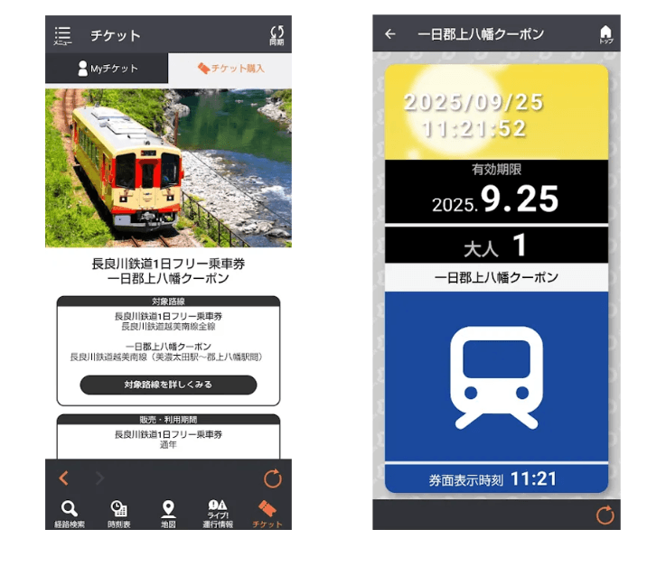 「一日郡上八幡クーポン」券面