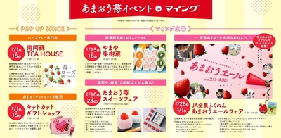 ＜様々なあまおう苺イベント＞