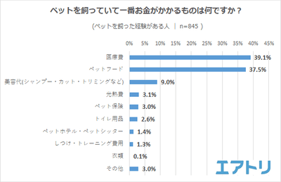 cVdUoSGzVRWOdaDuEULS.png?w=940&h=940