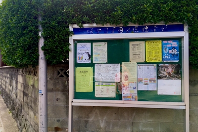 cWifakmPKQ5dh9XeHz7W.jpg?w=940&h=940